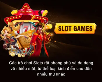 Bảo mật dữ liệu 55vin